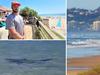 Popular Sunshine Coast beach closed after bull shark spotted in shallows
