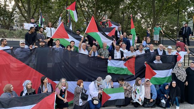 Canterbury-Bankstown council passed a motion on Tuesday's meeting to fly the Palestinian flag at two locations.