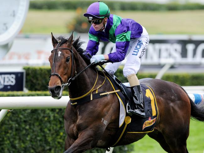 Look for Signposted to return to the winner’s list at Royal Randwick. Picture: Simon Bullard