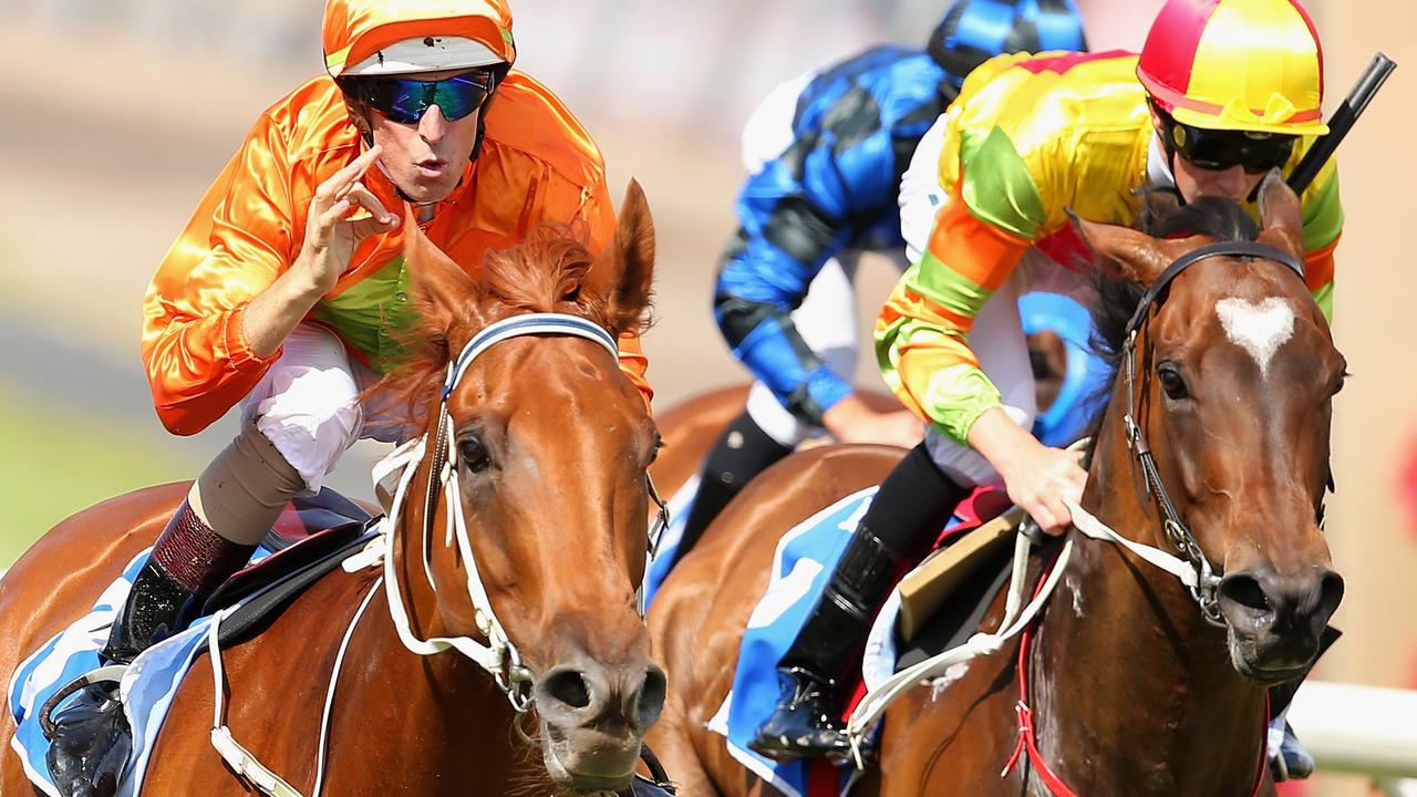 MELBOURNE, AUSTRALIA - NOVEMBER 08: Hugh Bowman riding Terravista celebrates as he crosses the line to win race 6, the Darley Classic on Stakes Day at Flemington Racecourse on November 8, 2014 in Melbourne, Australia. (Photo by Quinn Rooney/Getty Images)