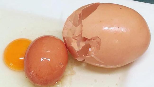 The giant egg laid at Stockman's Eggs in far north Queensland which had a fully formed smaller egg inside. Picture: Stockman’s Eggs