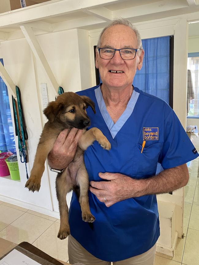 Tasmanian vet Andrew Nicholson, working at Te Are Manu vet clinic in the Cook Islands. Picture: Vets Beyond Borders