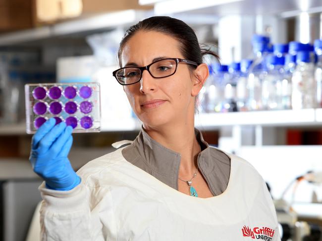 Griffith University Associate Professor Lara Herrero said the new strain could possibly overtake others in Australia. Picture: Tim Marsden