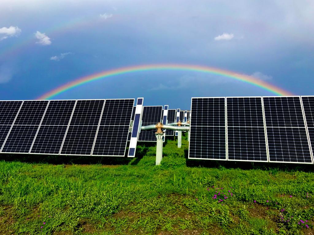 The Warwick Solar Farm. Picture: Terry Moore