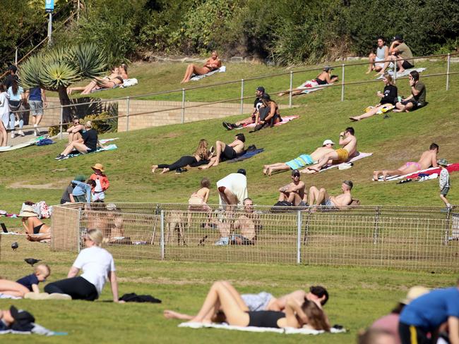 People lying in the sun at Bronte. Picture: NCA NewsWire / Nicholas Eagar