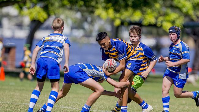 Day One of King of the Country rugby tournament at James Overell Park, Southport. possible. Sunshine Coast Invitational Barbarians U13s (Blue/yellow with ball) v USQ Saints U13s. Picture: Jerad Williams