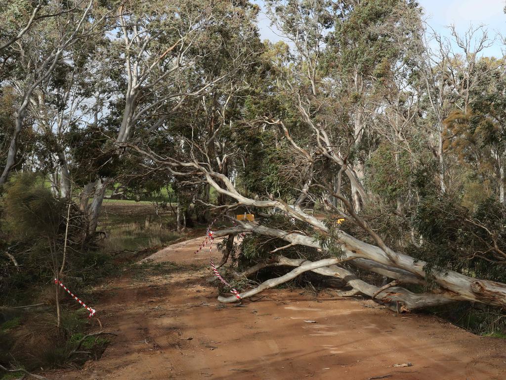 A tree down on Harrogate Road. Picture: Simon Cross