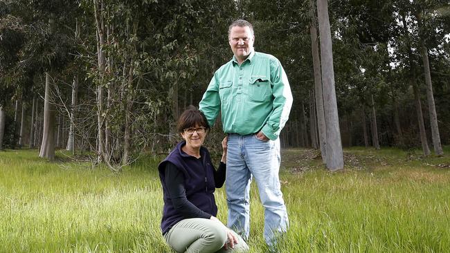 Carbon neutral farmer Mark Wootton, pictured with his wife Eve Kantor, says the integrity of off-farm offset projects is vital to the growing carbon neutral beef market. Picture: Yuri Kouzmin