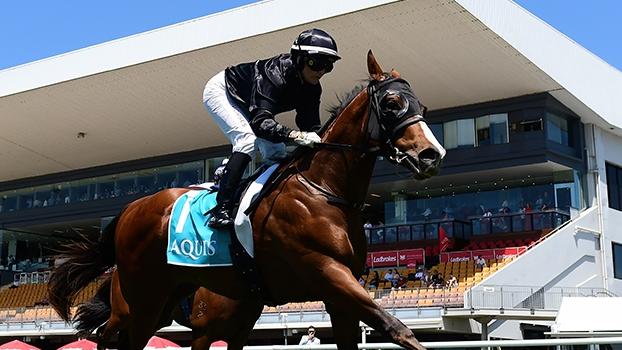 Betterlucknexttime was the first two-year-old winner in Australia this season. Picture: Natasha Wood – Trackside Photography.