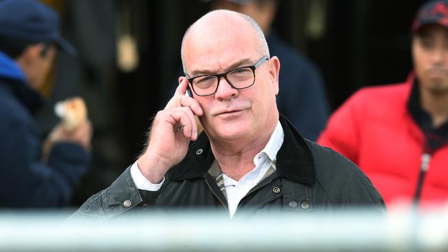 Racing Victoria’s outgoing chief vet Dr Brian Stewart will return to Hong Kong at the end of the Melbourne Cup carnival. Picture: Ian Currie