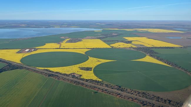 The enormous pickle farm pictured from above. Picture: Supplied