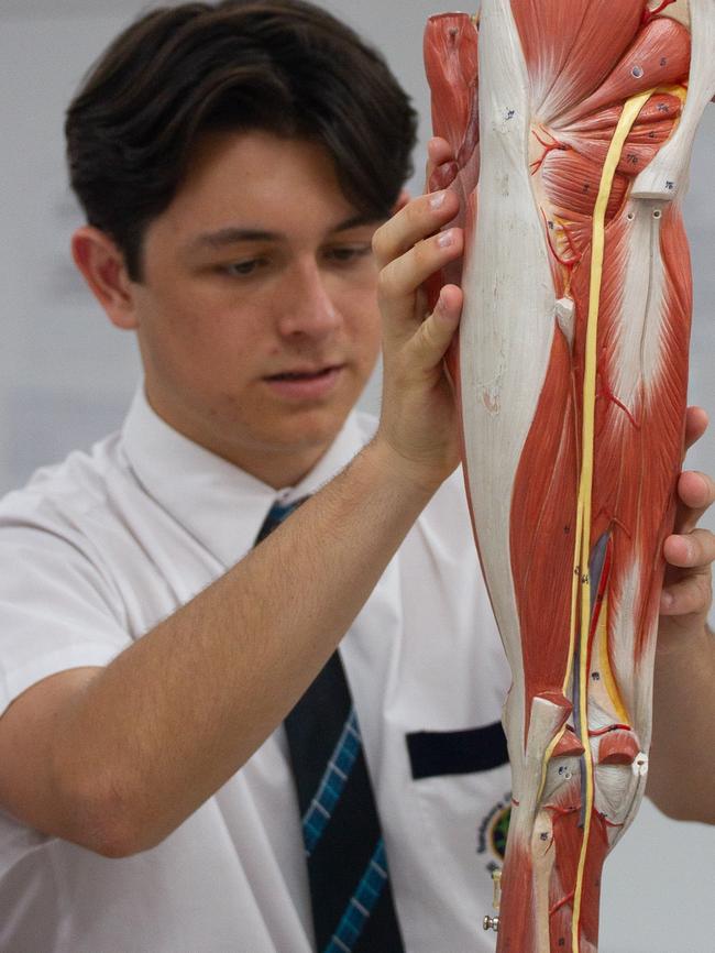 A student places pieces back into a medical science model.