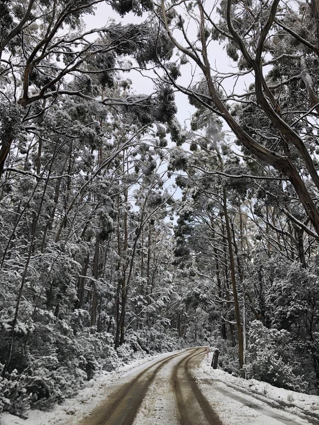 Snow at Lake Dobson at Mt Field ahead of expected wild, snowy weather in Tasmania in early August, 2020. Picture: Nikki Davis-Jones