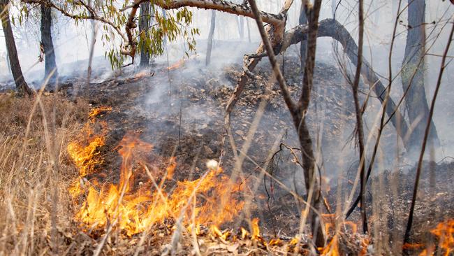 Fires spread through the Silver Valley Road area near Irvinebank. Picture: Brian Cassey