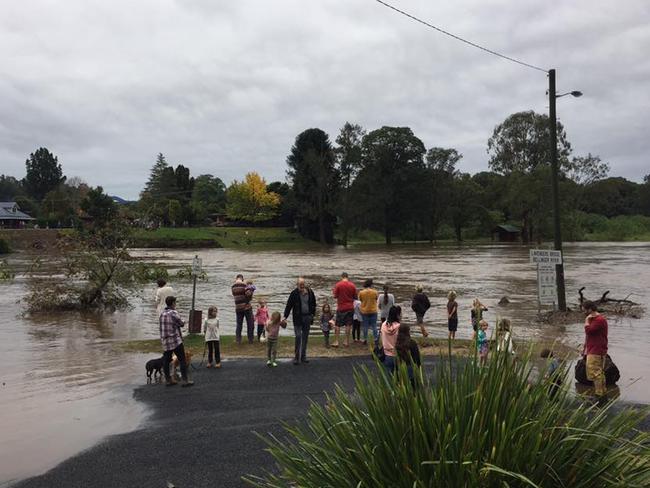 The flooded Bellinger River / Picture: Hayley Deeks