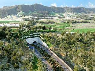 An artist impression of the land bridge proposed for Roberts Hill in the most recent concept plans released by the RMS.