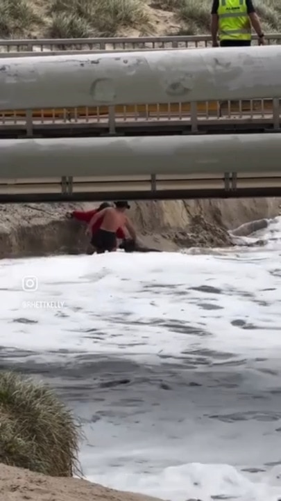 Authorities urge people to stay away from the beach during TC Alfred. Video: Instagram/ @rhettkelly_