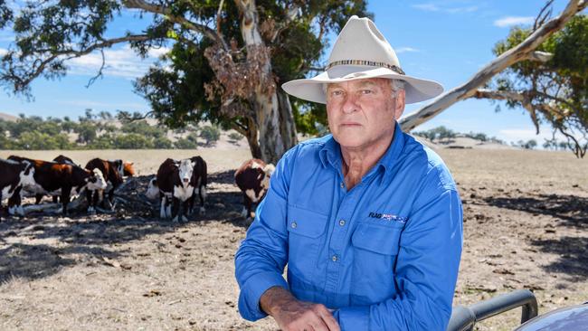 Strathalbyn Poll Hereford farmer Peter Manuel. Picture: Brenton Edwards