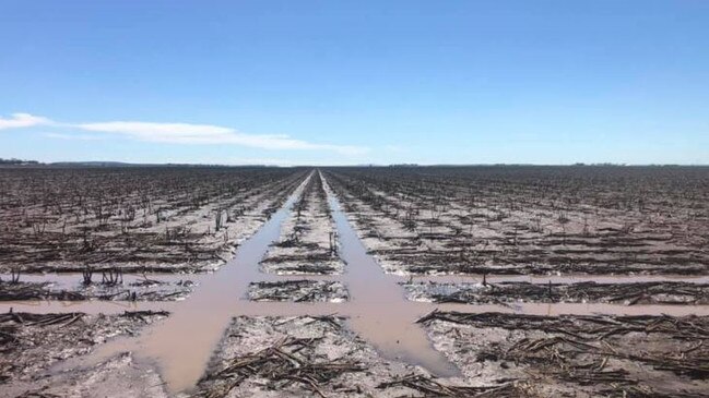 A total of 37mm of rain fell in a storm at Formartin, 40km southwest of Dalby. Picture: Peter Waddell