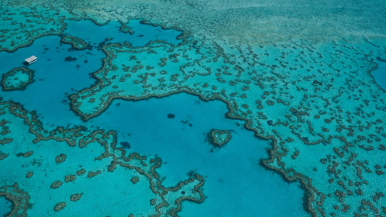 New eReefs technology to save the Great Barrier Reef | The Courier Mail