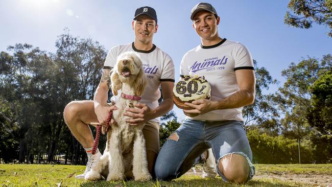 Paws at the Park is happening again, bigger and better than ever and the AWLQ are celebrating 60 years. Picture: Jerad Williams