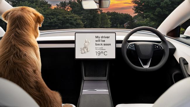 Tesla’s popular ‘dog mode’ feature remains standard.