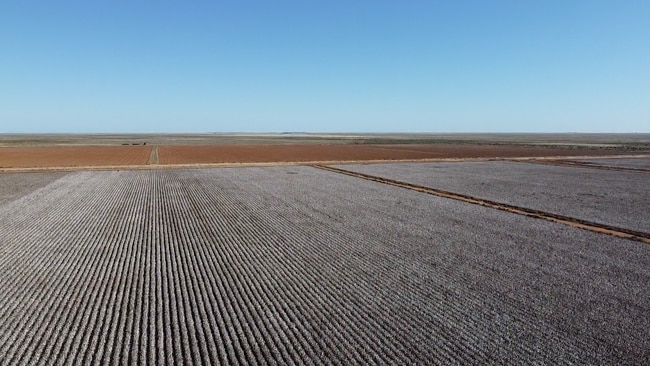 Pat and Sharon Bunyan have sold the 5771ha Mutherumbung Station, near Booligal NSW, to son Simon and wife Sarah.