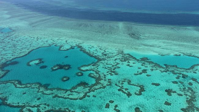 The Great Barrier Reef is the favourite hostage of warming alarmists. Photo by Sarah Lai / AFP