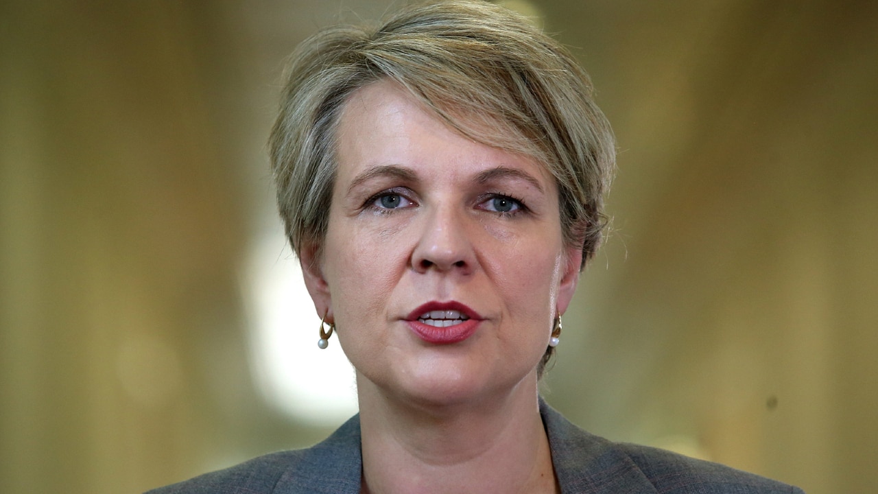 Tanya Plibersek clears up stance on Blayney gold mine