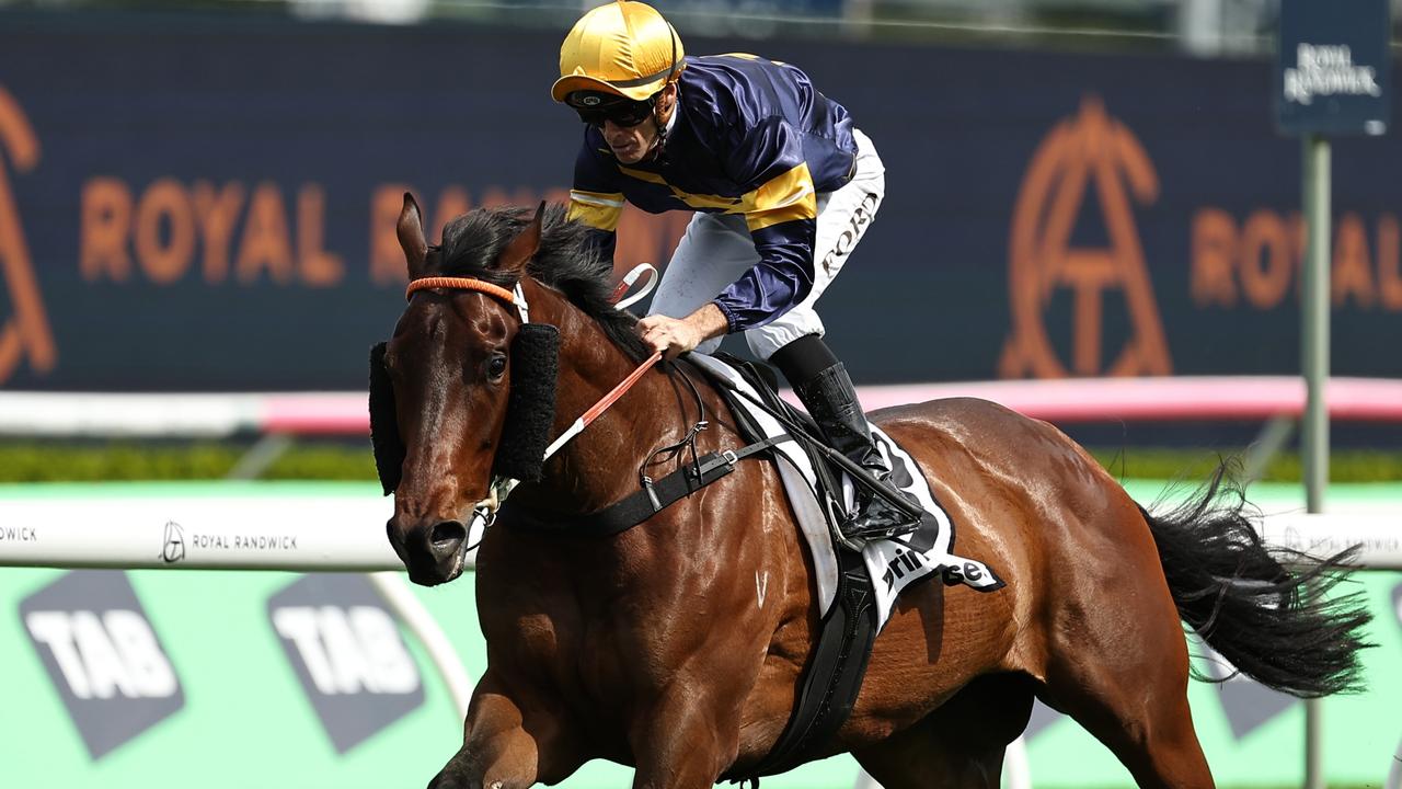 Rosehill Guineas runner-by-runner form analysis and tips