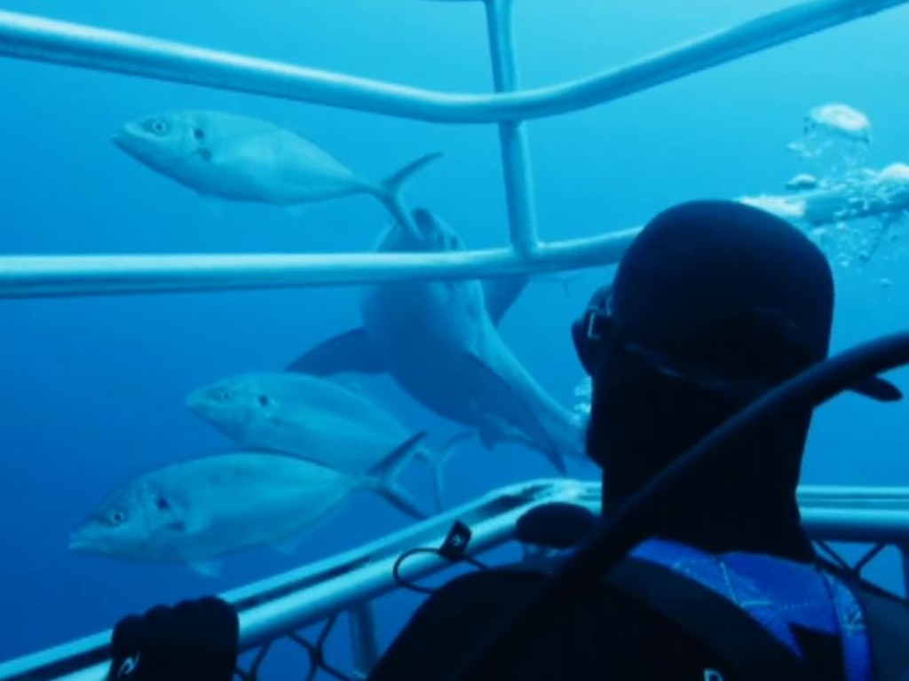 Mick Fanning gets up and close with sharks...again.