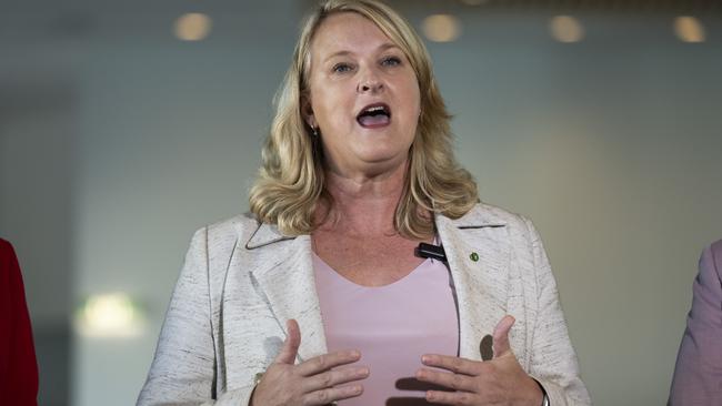 Federal independent MP Kylea Tink. Picture: Martin Ollman