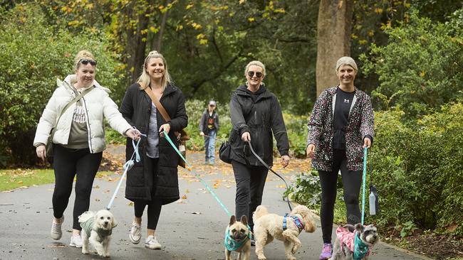 Million Paws Walk in the Adelaide Botanic Gardens, Sunday, May 28, 2023. Picture: Matt Loxton