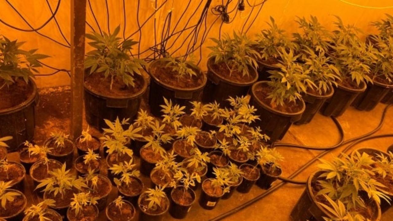 A man will face court after an investigation into illicit drugs. Picture: SA Police