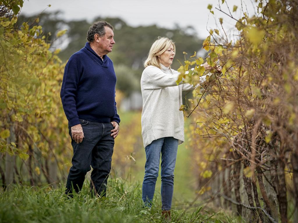 ArtWine owners Judy and Glen Kelly at their winery which is open seven days a week. Picture: Mike Burton