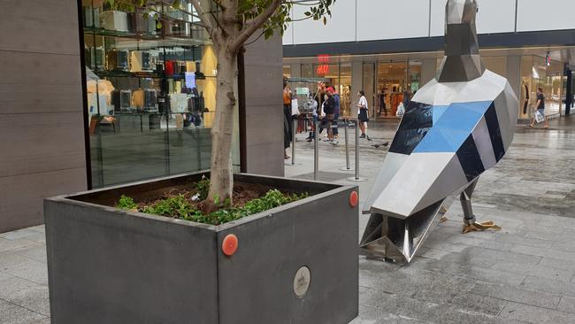 The planter box has been placed behind the Gawler Place pigeon to stop it from being used as a makeshift ramp. Picture: Colin James