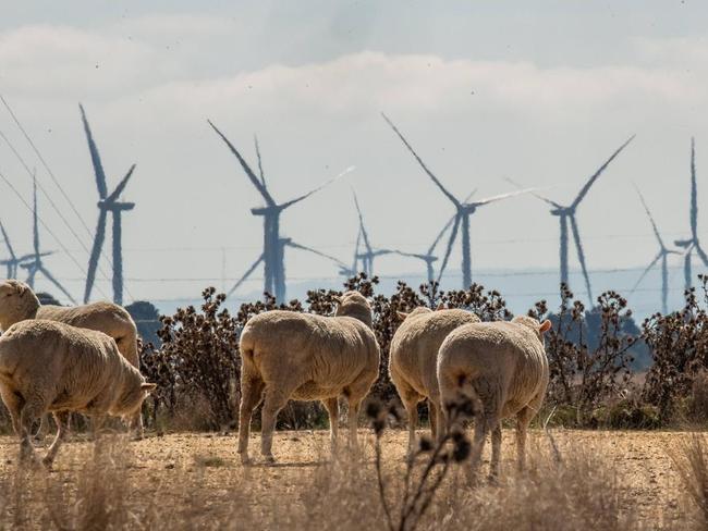 Wind turbines for green electricity production near Ballan in Victoria's west. Picture: Jason Edwards