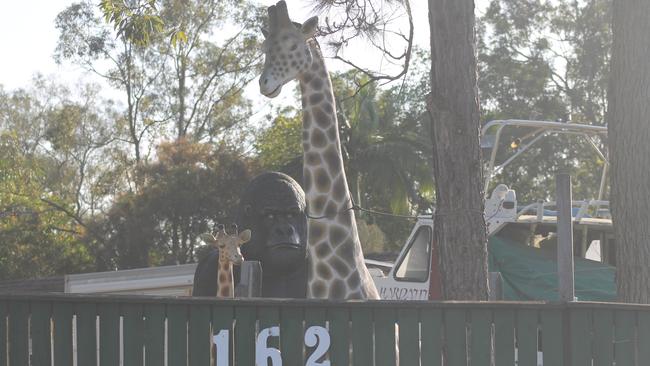 Two giraffes and a gorilla at the corner where there are plans for a servo.