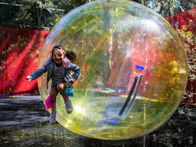 Bounce, play, explore and discover inside Treetop NetWorld on the Central Coast.