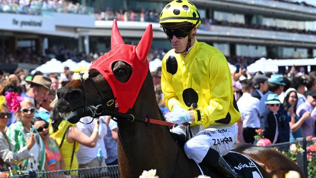 Without A Fight is no certainty to defend his Melbourne Cup crown. Picture: Vince Caligiuri—Getty Images.