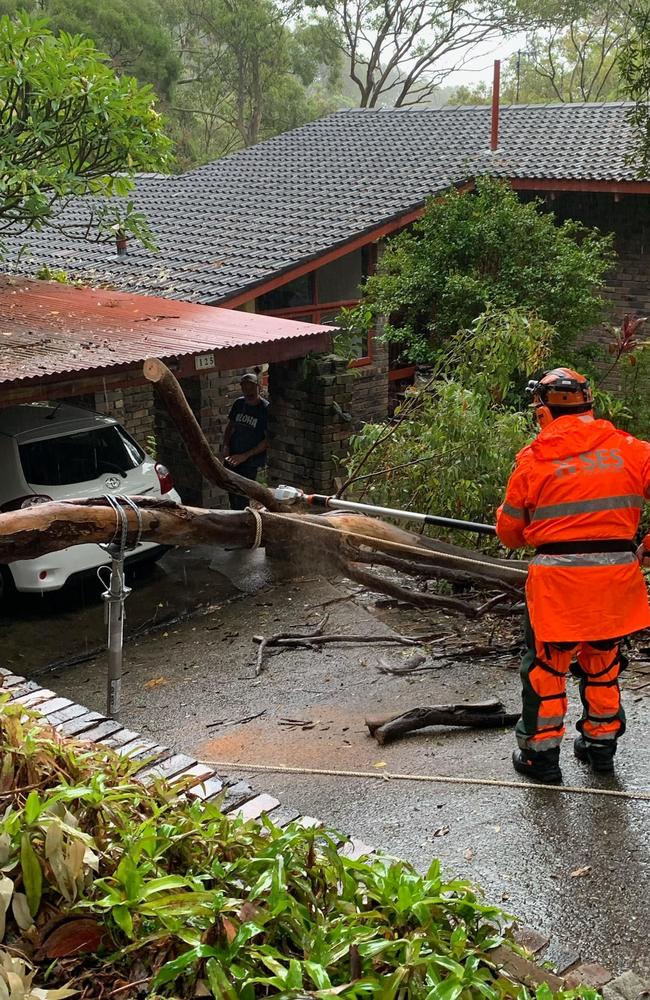 Volunteers from the Warringah/Pittwater SES unit attend to a fallen tree on Friday afternoon. Warringah/Pittwater SES