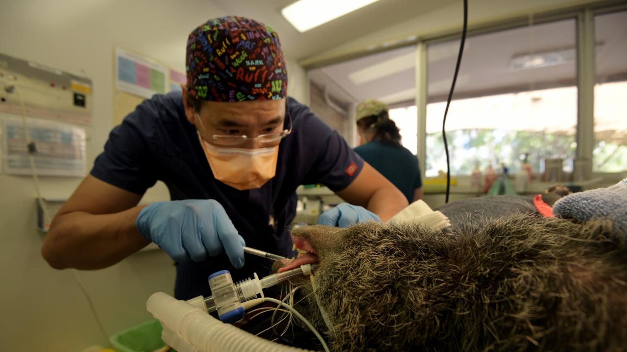 Dr Kevin Ng was involved in the procedure. Picture: NCA NewsWire/Sharon Smith