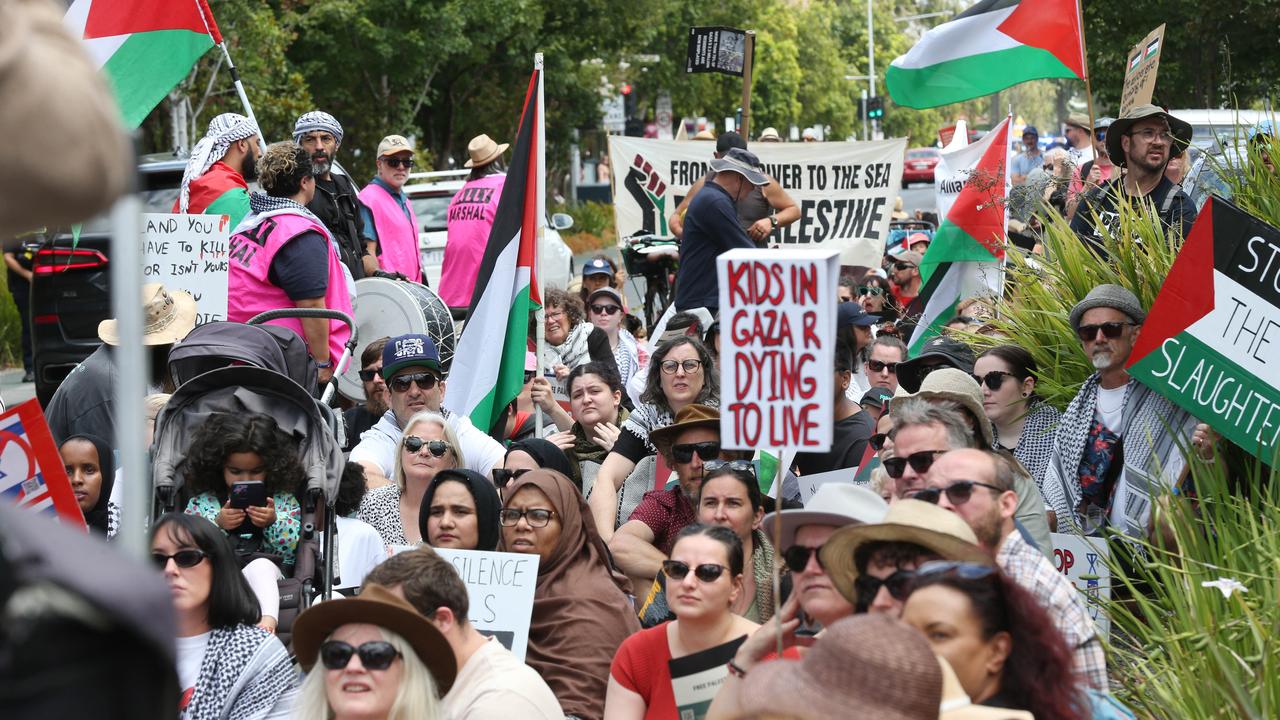 Pro-Palestinian protesters in Geelong. Picture: Mark Wilson