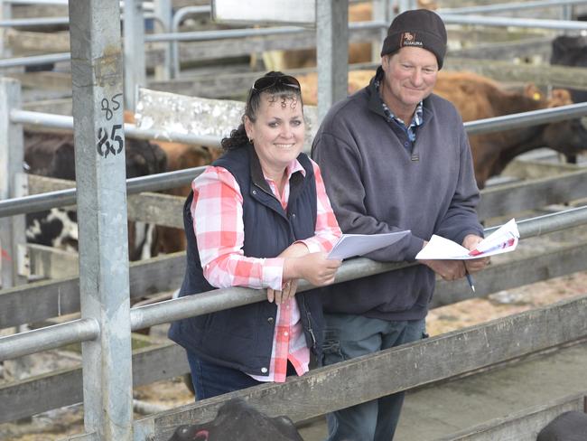 Warragul dairy cattle sale | The Weekly Times