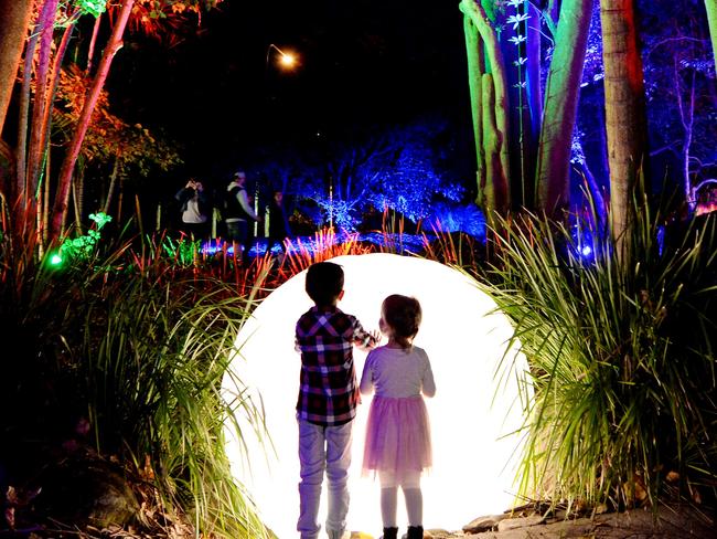 Illuminate at Mackay Botanic Gardens.