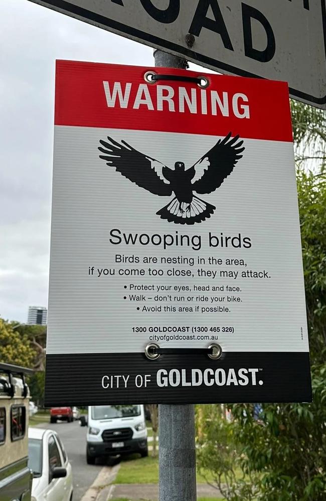 Gold Coast City Council signage to warn residents in areas where magpies are swooping