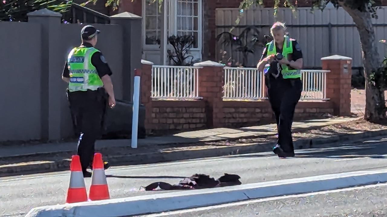 Pedestrian involved in horror crash at notorious intersection