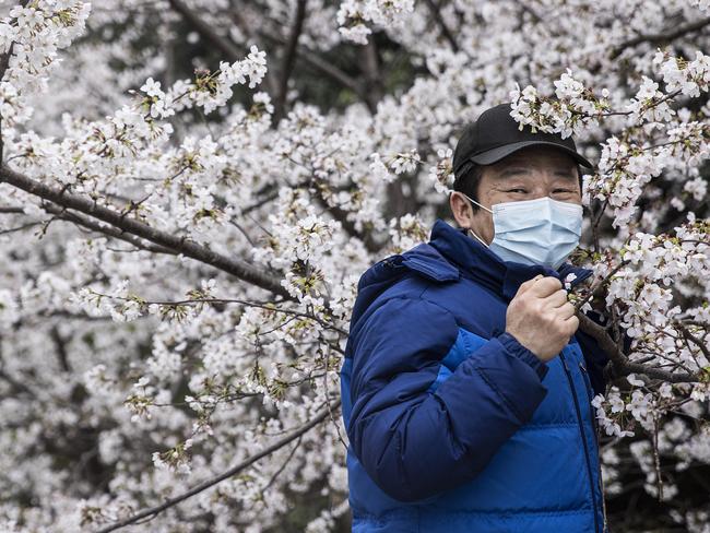 Wuhan, one year after the pandemi was declared. A man wearing a mask poses for photos under cherry blossom trees in Wuhan, China. Picture: Getty Images