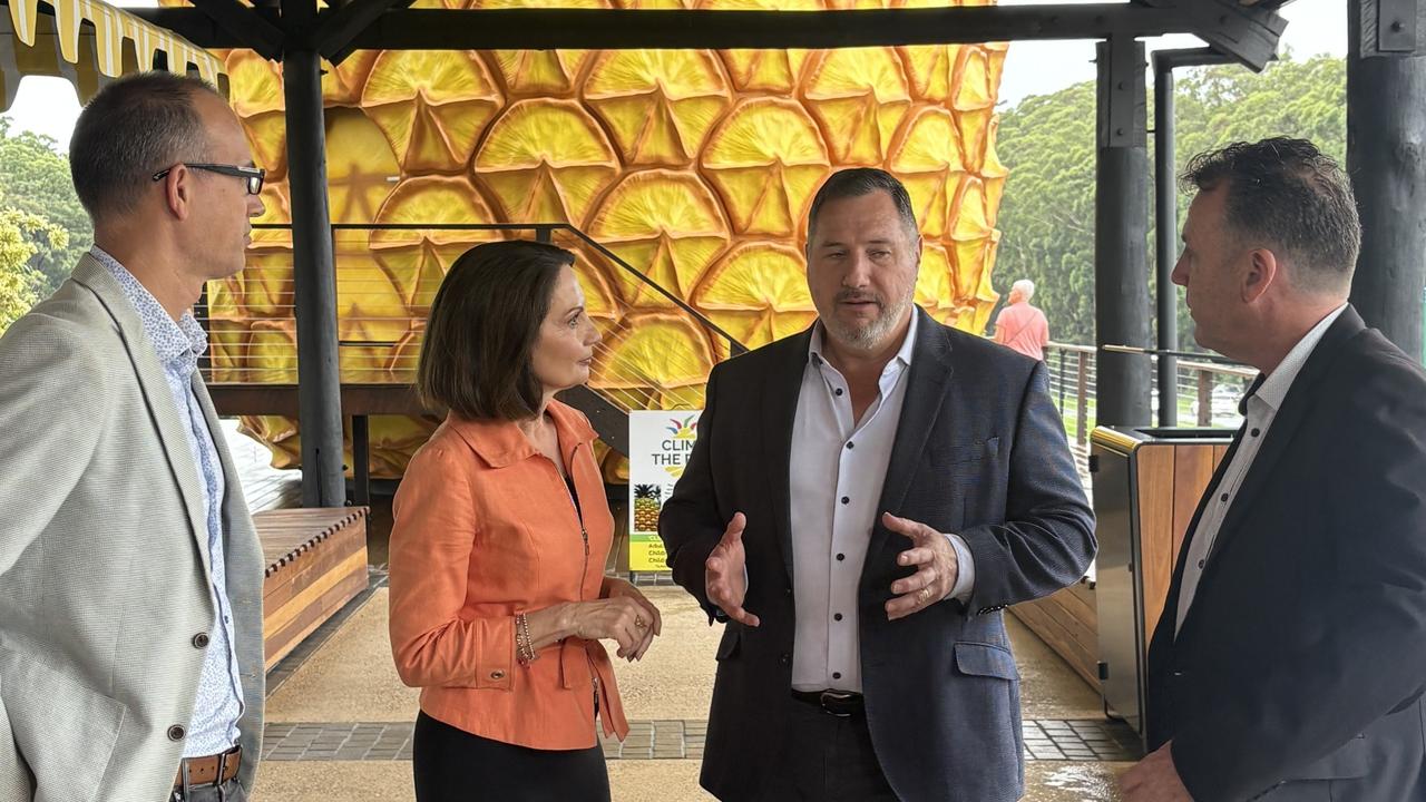 Visit Sunshine Coast chief executive Matt Stoeckel, Sunshine Coast Mayor Rosanna Natoli, and state government MPs Andrew Powell and Martin Hunt at the Big Pineapple.