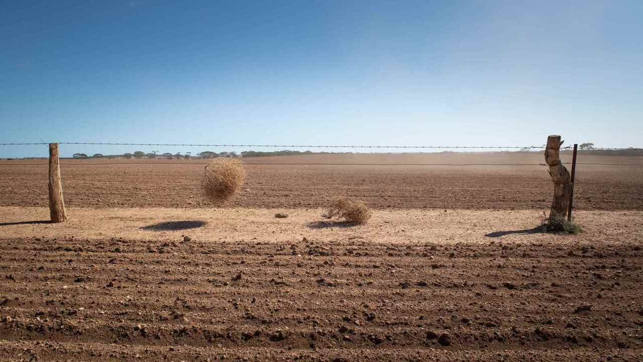 South Australian farmers face worst drought in decades